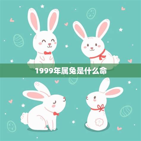 1999兔年|1999年属兔是什么命 兔命里缺啥 一生命运怎样